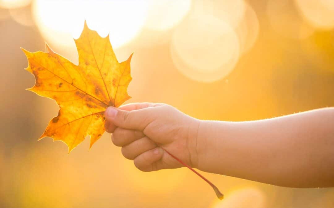 Autumn Half Term Activities at South Bristol Family Hubs